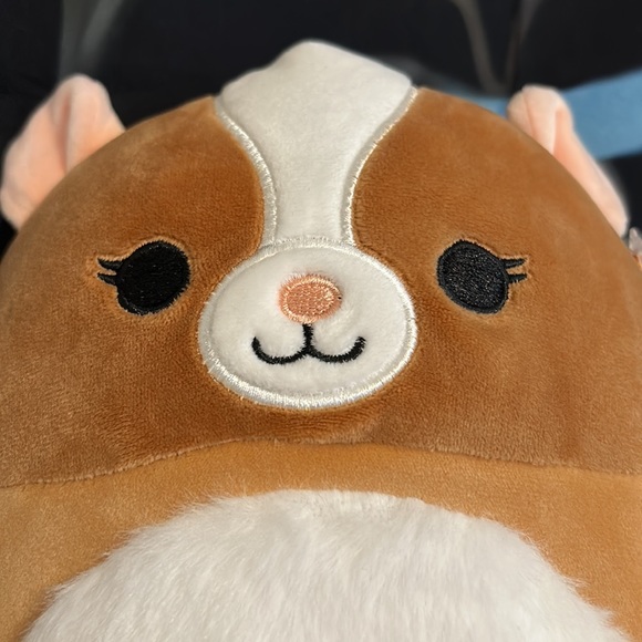 Squishmallows Toys Squishmallows Nwt 7 Garret The Guinea Pig Squishmallow Poshmark